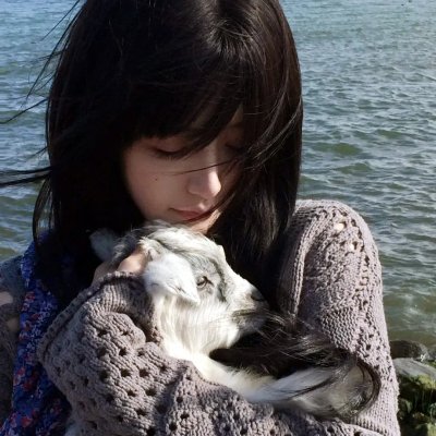 在首领猎人的土地上